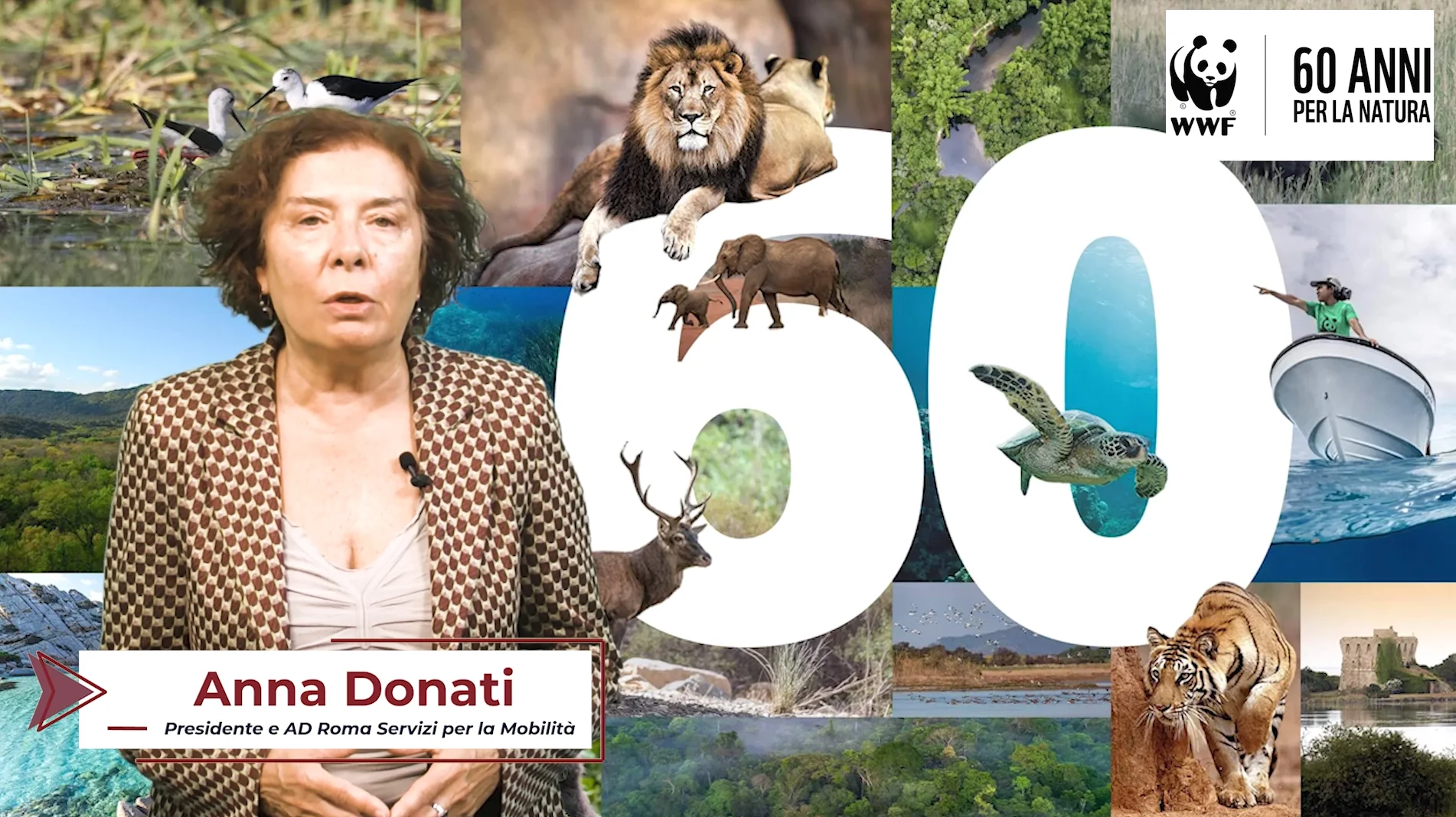 Anna Donati, 60 anni WWF